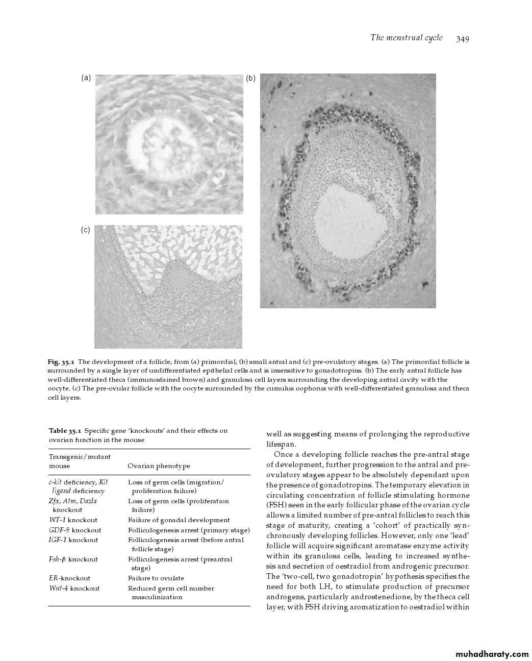 REPRODUCTIVE ENDOCRINOLOGY