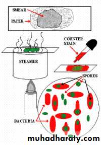 Special stain