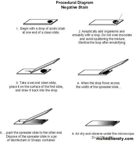 Special stain