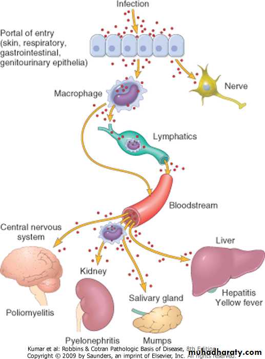 Infectious Disease