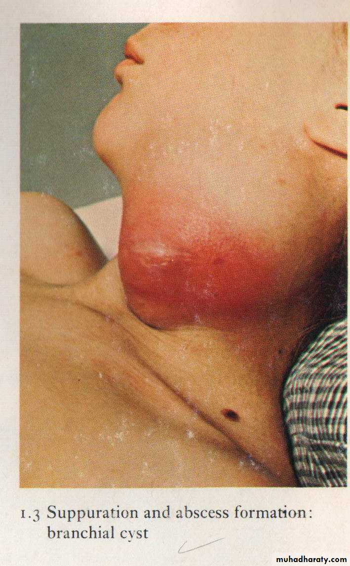 Practical infectious disease