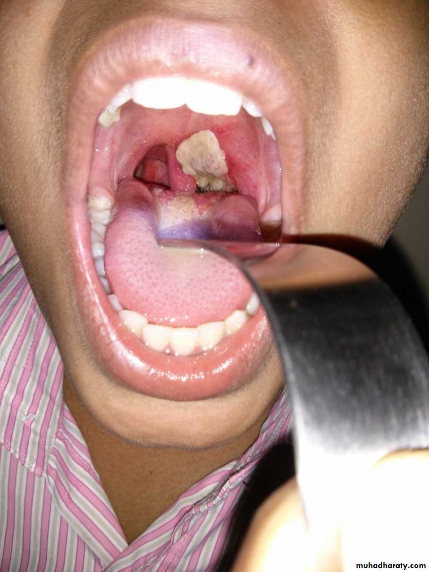 Practical infectious disease