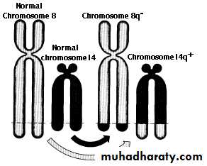 Genetics