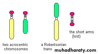 Genetics