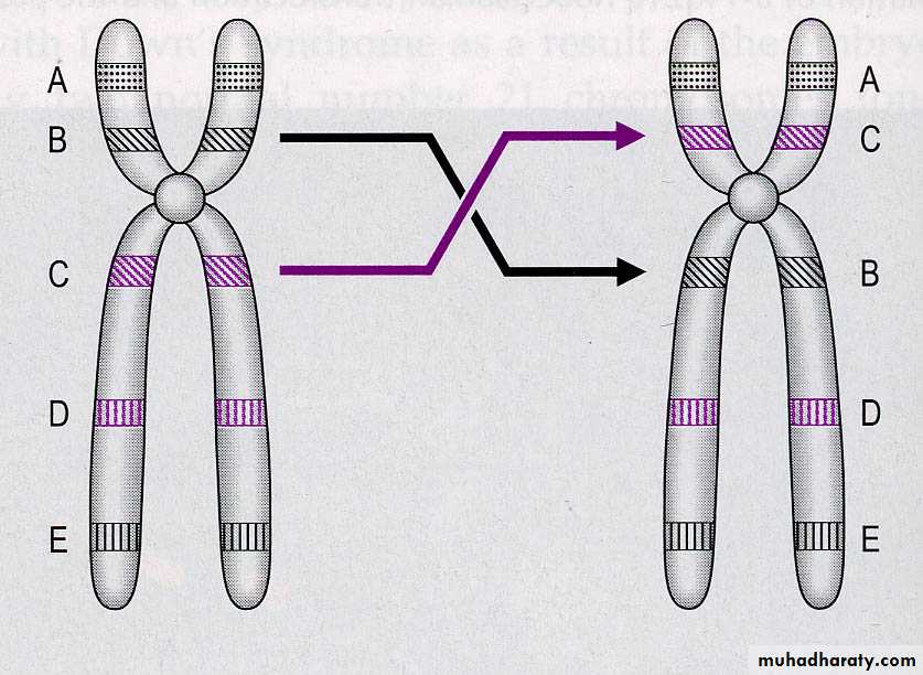 Genetics