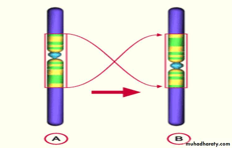 Genetics