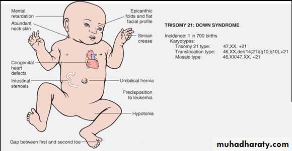 Genetics