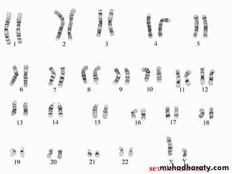 Genetics
