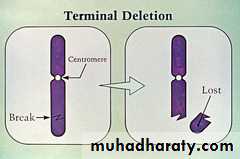 Genetics