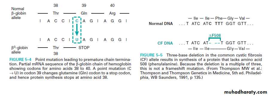 Genetics