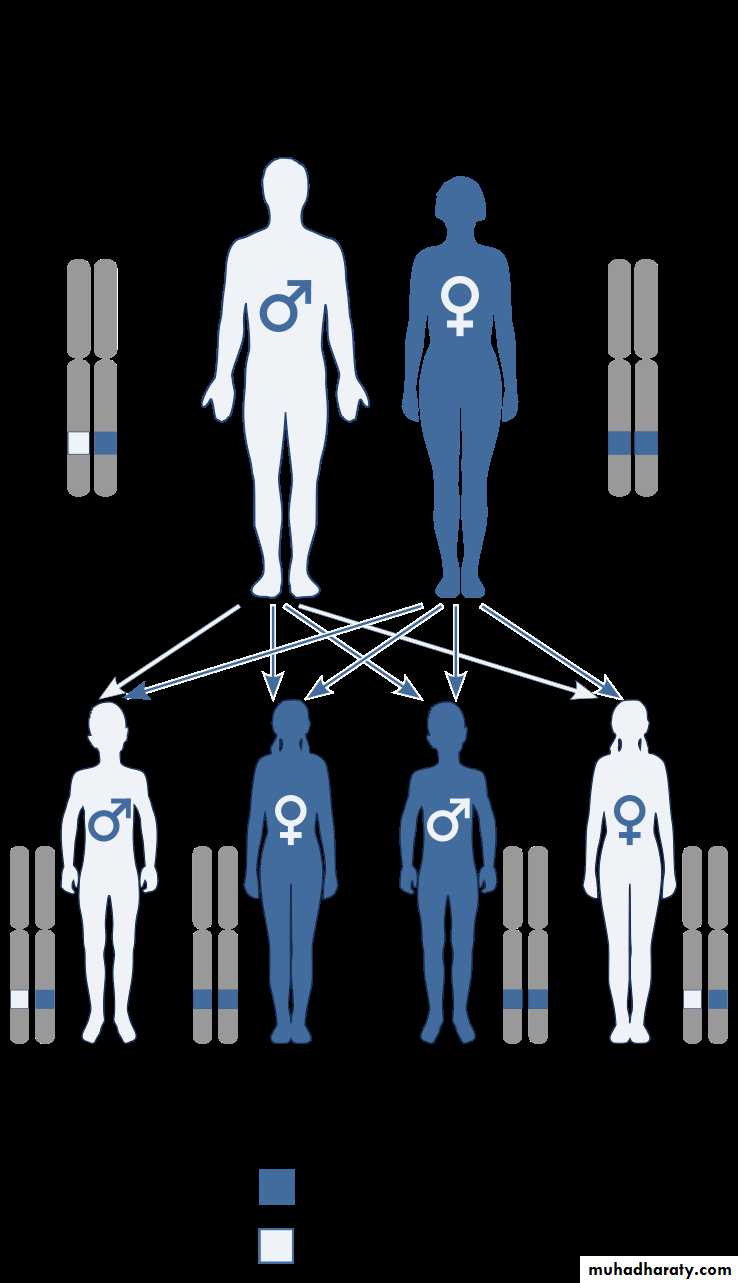 Genetics