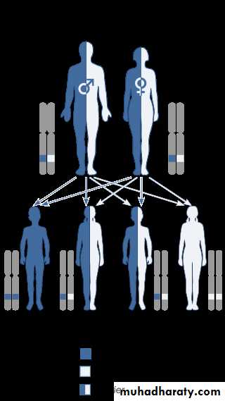 Genetics