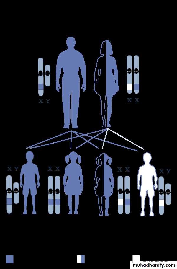 Genetics