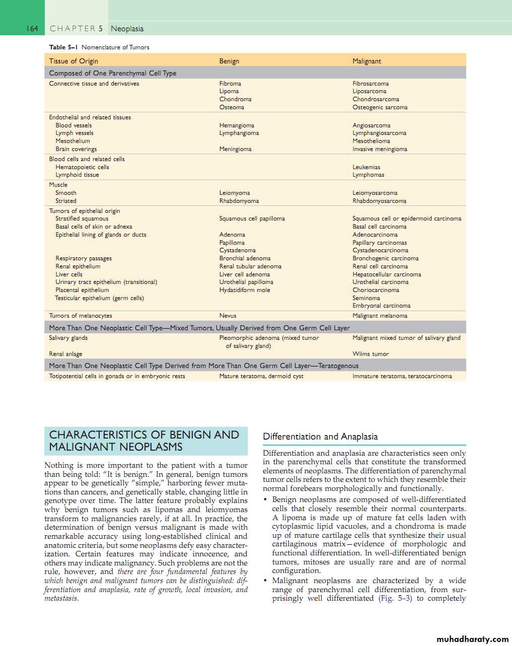 Neoplasia