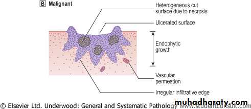 Neoplasia