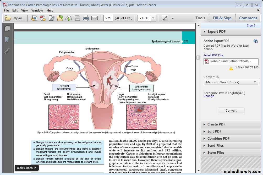 Neoplasia