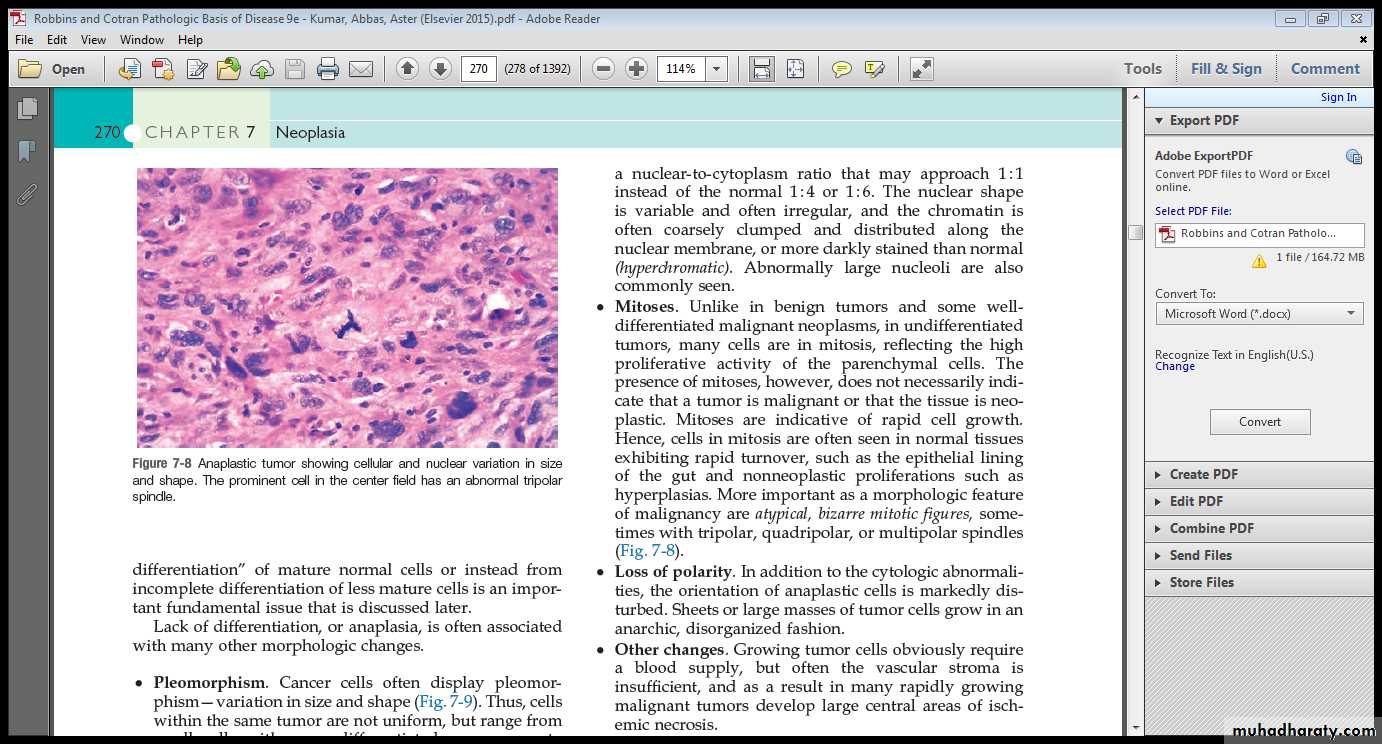 Neoplasia