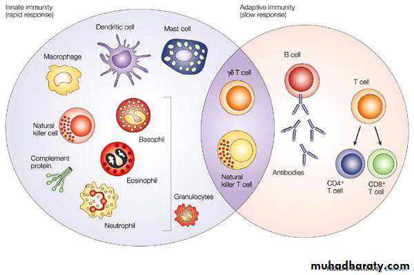 Immunodefeciency