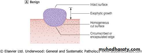 Neoplasia
