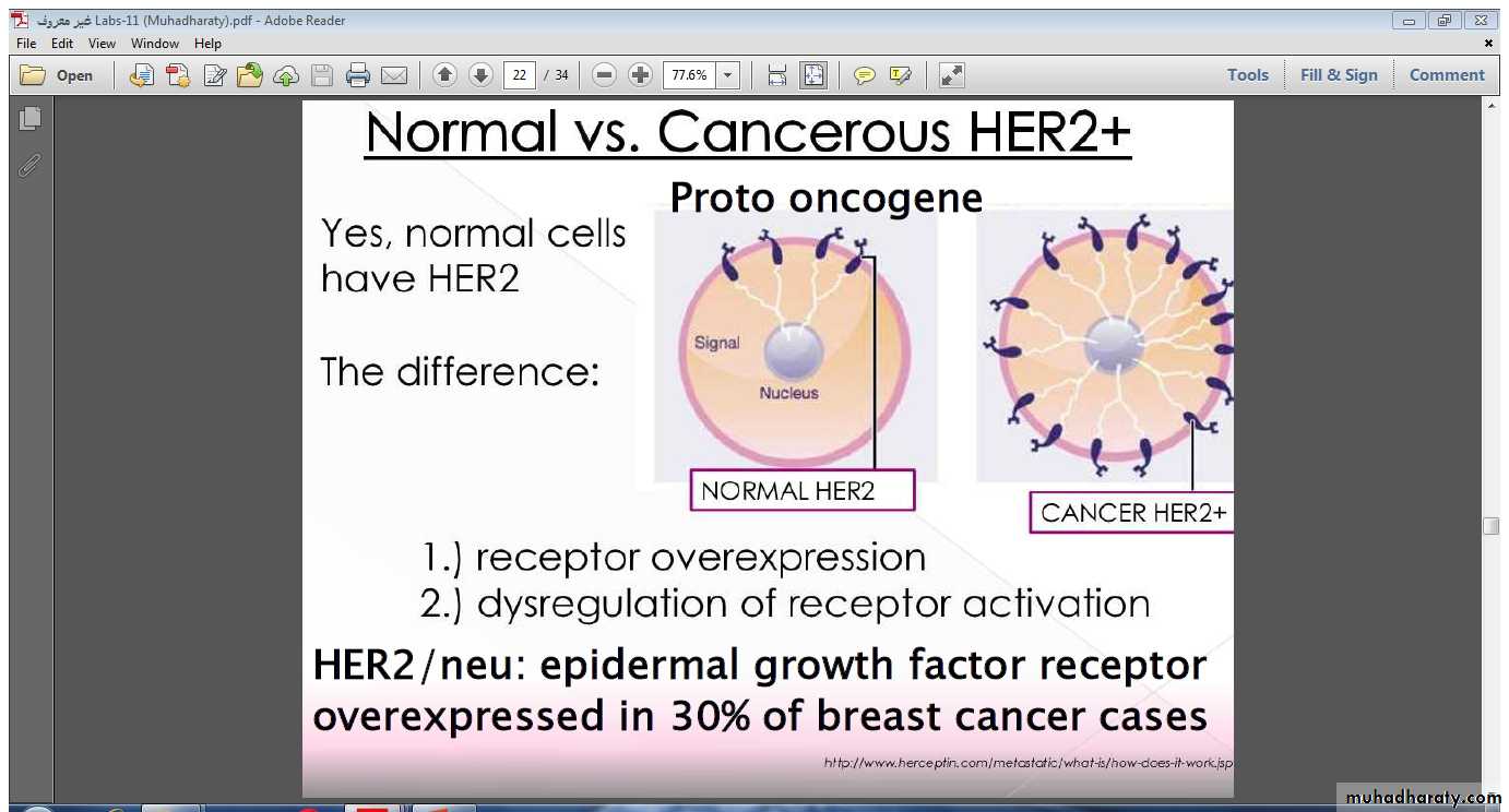 Neoplasia
