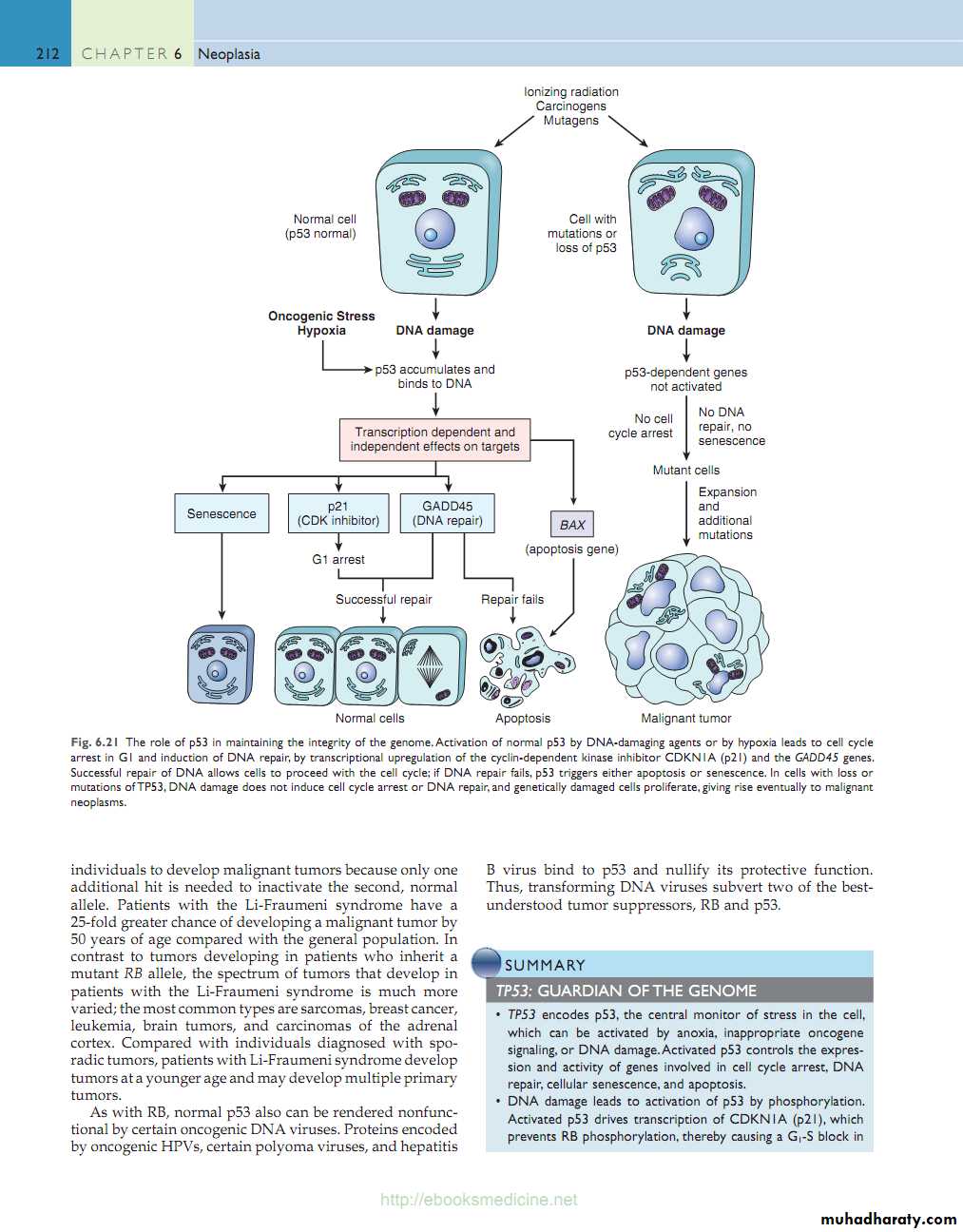 Neoplasia