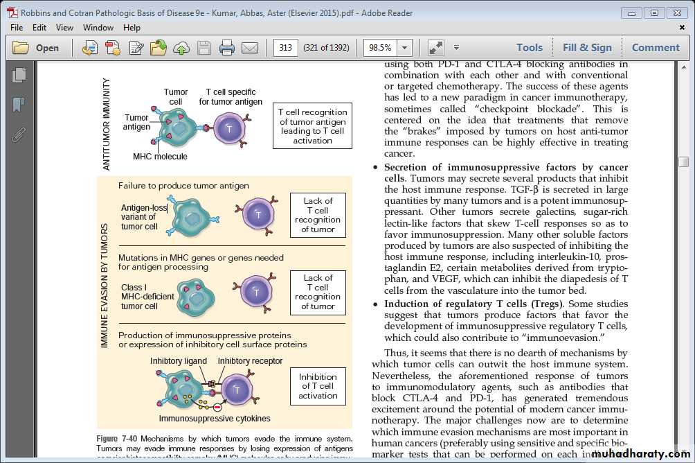 Neoplasia