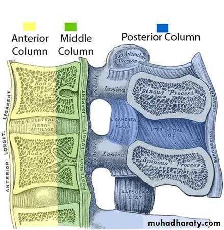 Spine Fractures