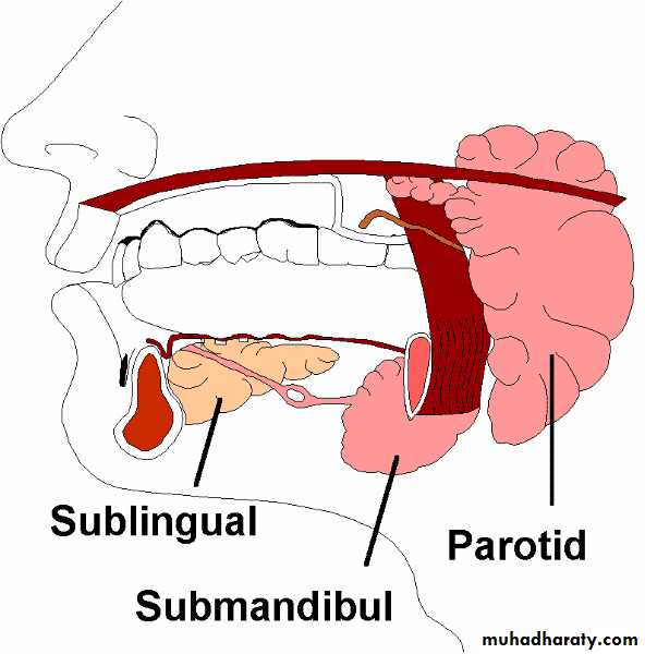 (Xerostomia (saliva