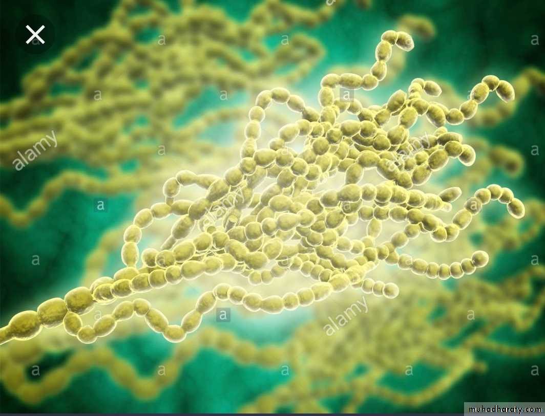 Infection