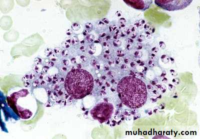 Parasitology
