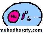Parasitology