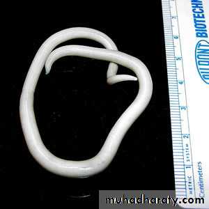 Parasitology