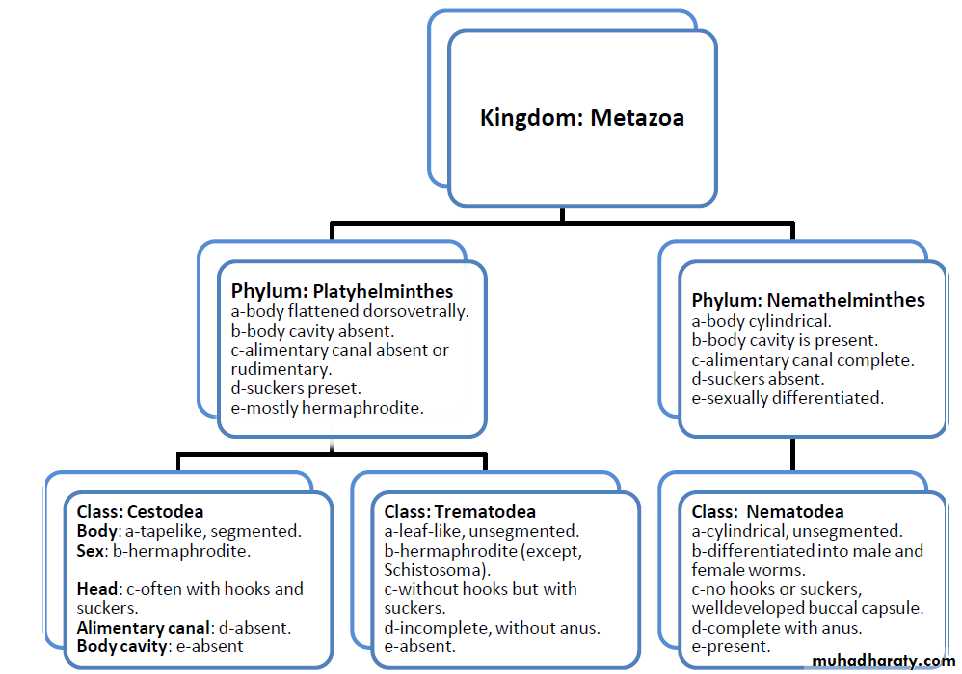 Parasitology