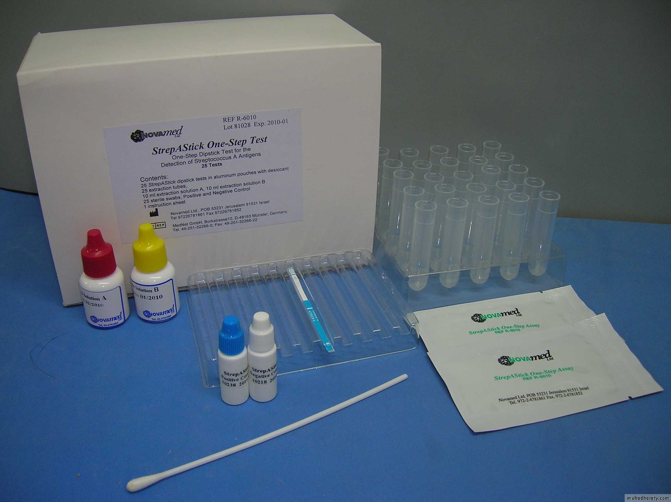 Streptococcus
