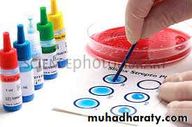 Streptococcus