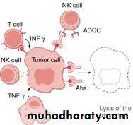 Immunology