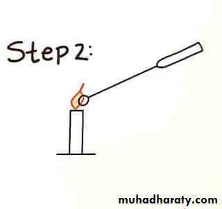 د.كوثر