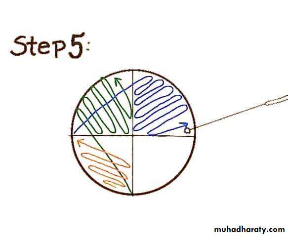 د.كوثر