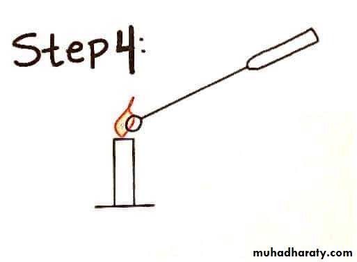 د.كوثر
