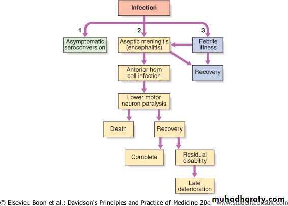 Viral Infection