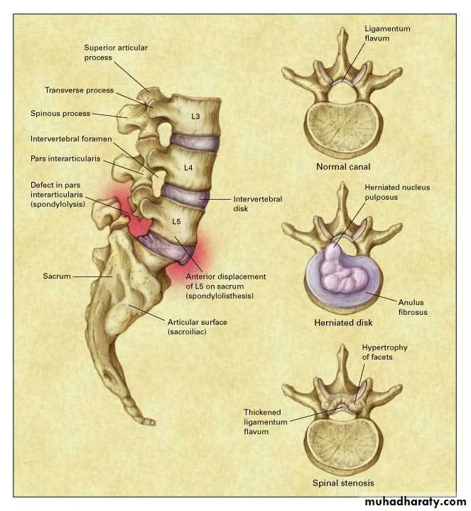 Rheumatology
