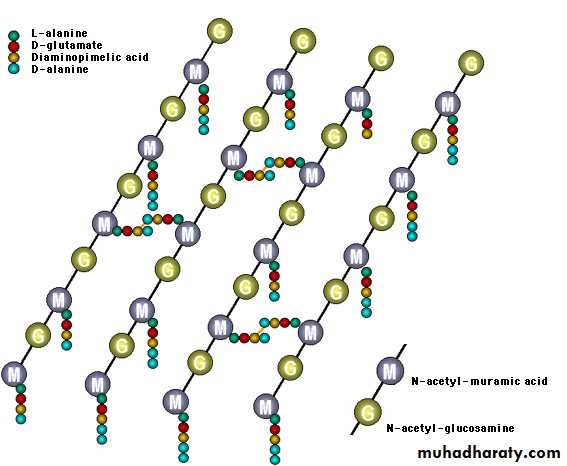 Antibiotic drugs