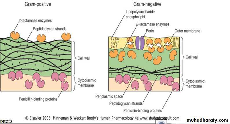 Antibiotic drugs