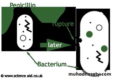 Antibiotic drugs