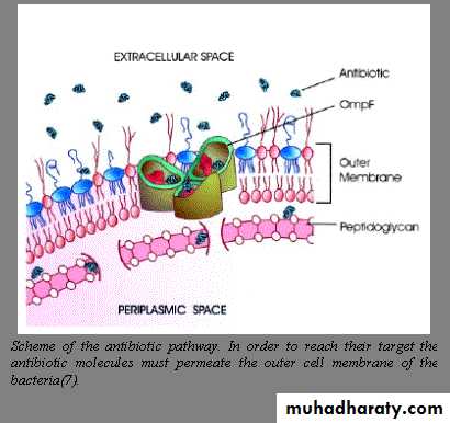 Antibiotic drugs