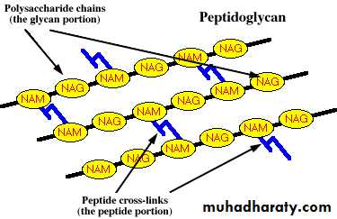 Antibiotic drugs