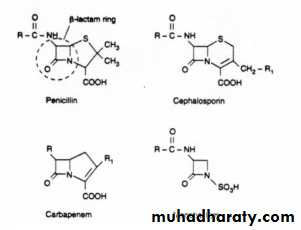 Antibiotic drugs