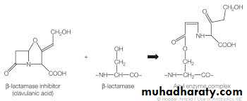 Antibiotic drugs