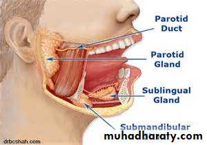 Drug excretion