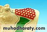 Laboratory procedures